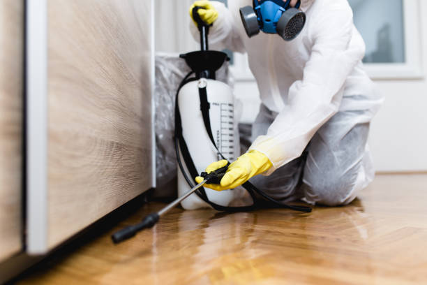 Best Wasp Removal Services  in Wilkinsburg, PA