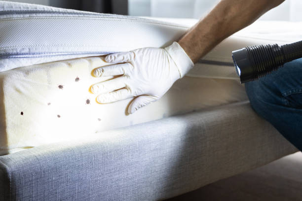 Best Wildlife Control Services  in Wilkinsburg, PA