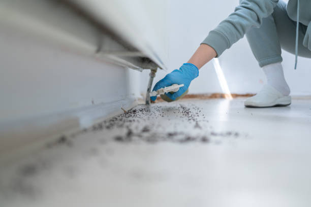 Best Pest Prevention Services  in Wilkinsburg, PA